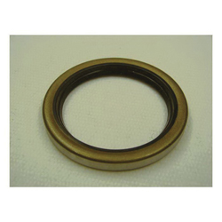 Oil Seals