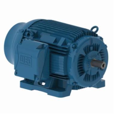 Electric Motors